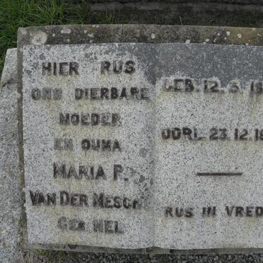 MESCHT Maria P., van der nee NEL 1884-1961