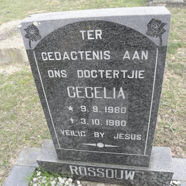ROSSOUW Cecelia 1980-1980