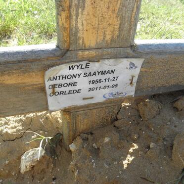 SAAYMAN Anthony 1956-2011