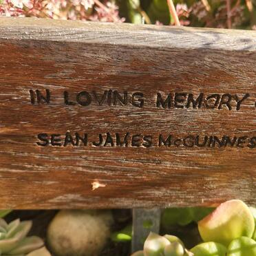 MCGUINNESS Sean James