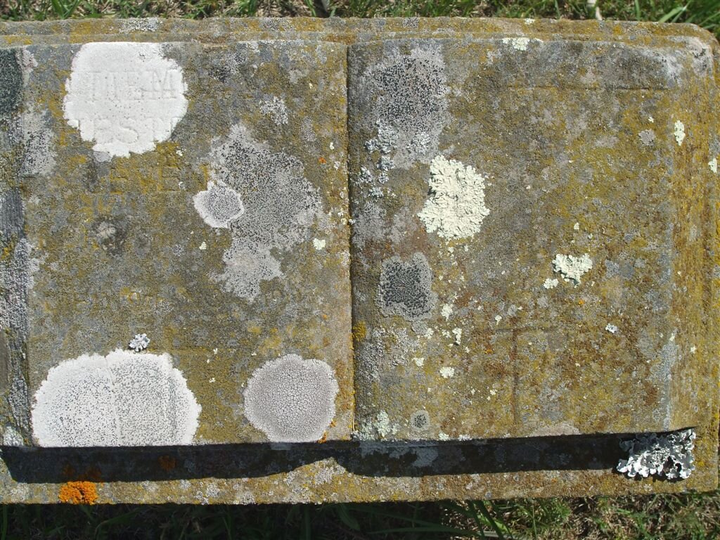 LEVENDAL Hester 1838-1907