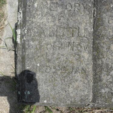 LITTLE M.A. 1858-1898