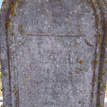 ERASMUS ?netta 187?-19??