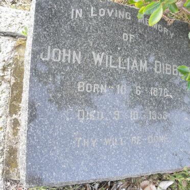 DIBBS John William 1878-1958