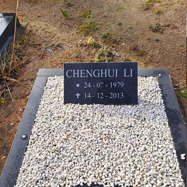 LI Chenghui 1979-2013