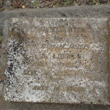 LOUW Anna nee SIEBERT ?-?