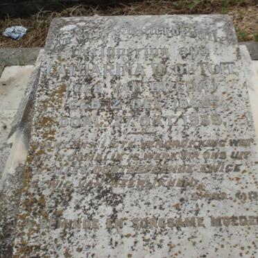 TOIT Catharina W., du nee VAN BREDA 1864-1939