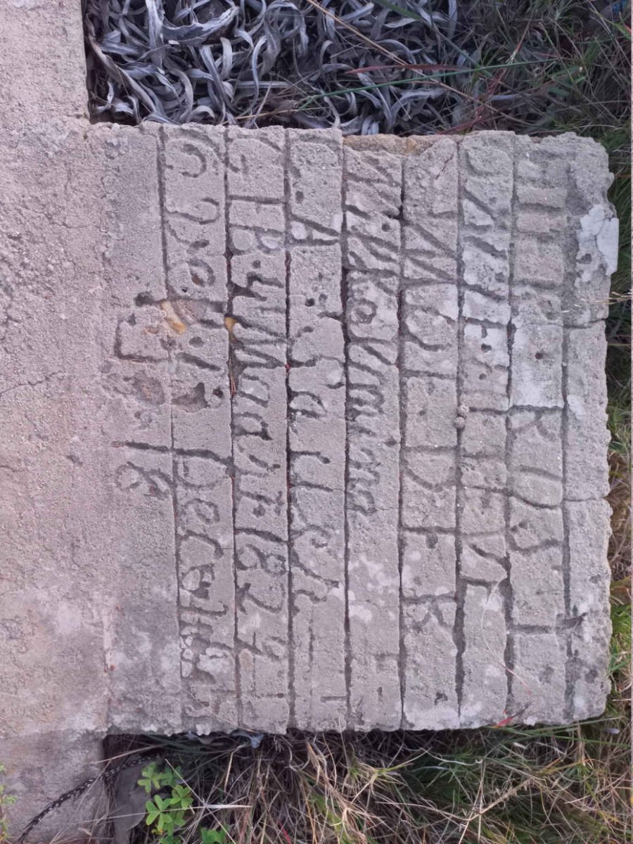 SAUER Willemina C.A. 1829-1918