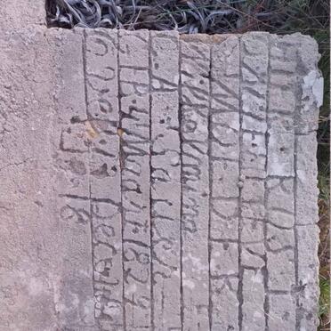 SAUER Willemina C.A. 1829-1918