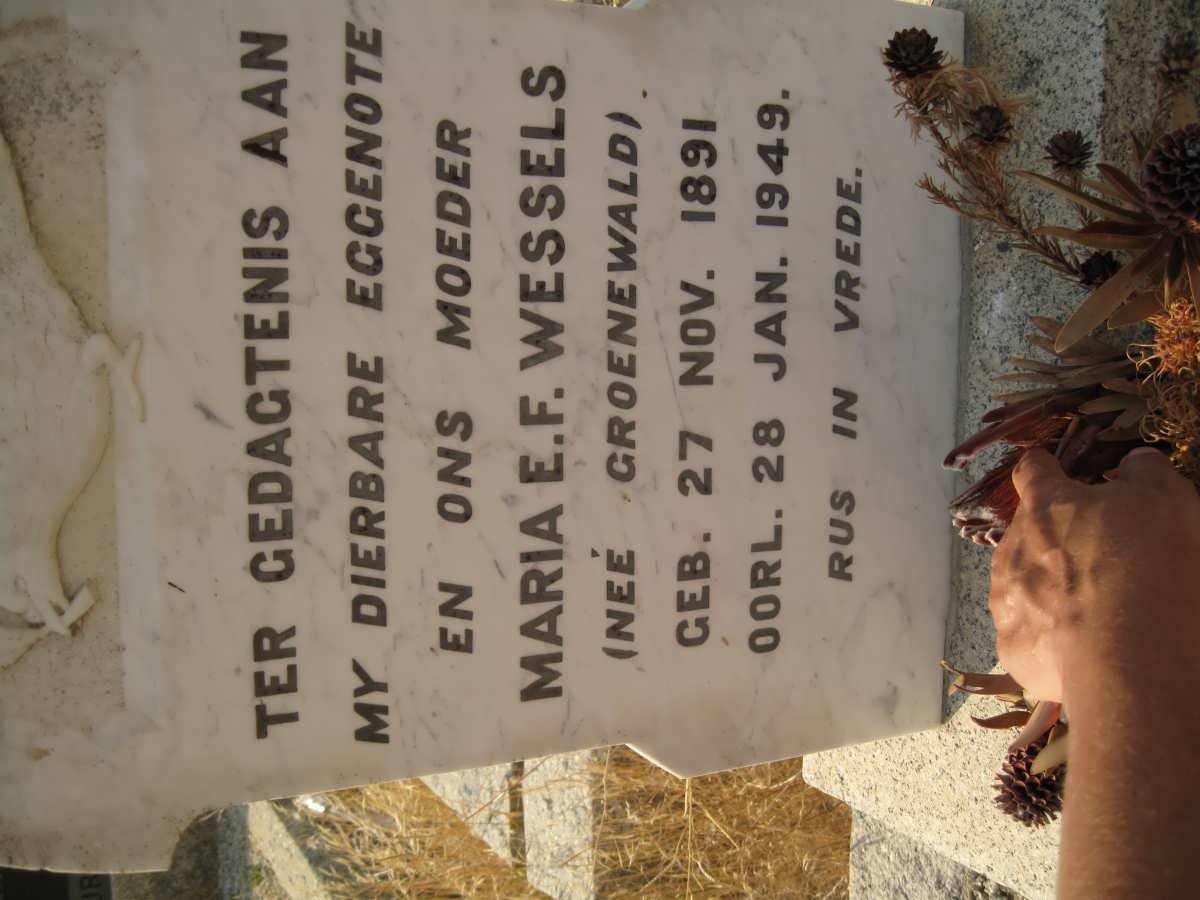 WESSELS Maria E.F. nee GROENEWALD 1891-1949