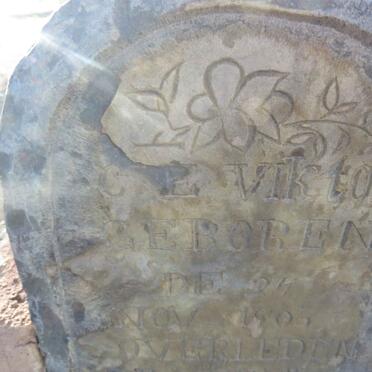 VIKTOR C.E. 1906-1907 _1