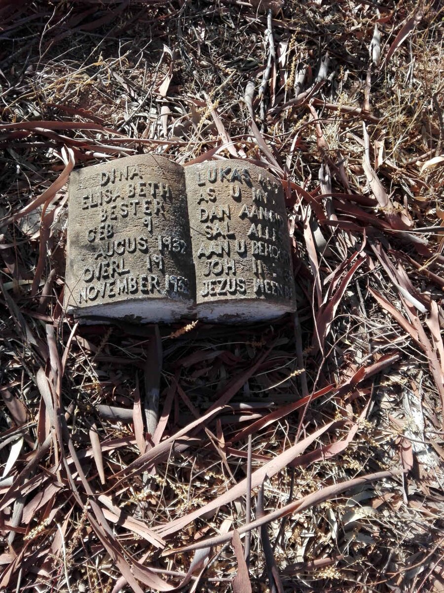 BESTER Dina Elisabeth 1932-1932