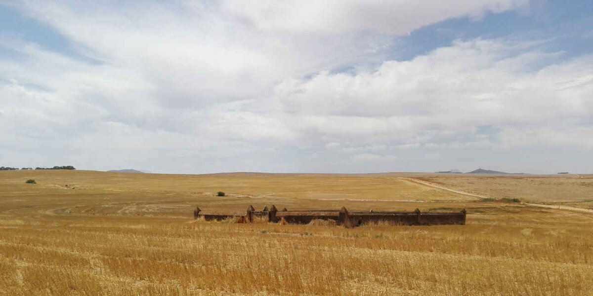 1. Oorsig / Overview