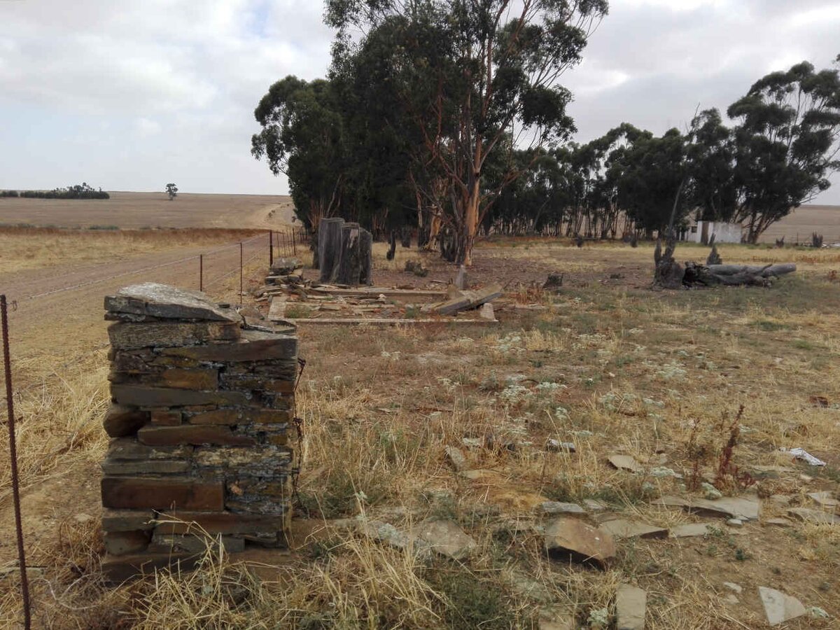 1. Oorsig / Overview