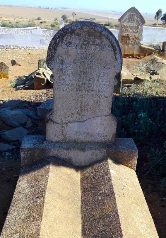 BESTER C.J :: BESTER C.P.J. 