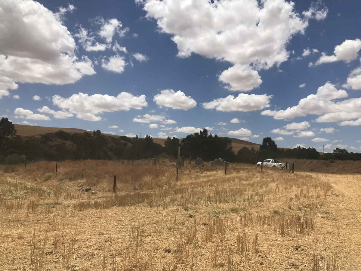 2. Overview / Oorsig