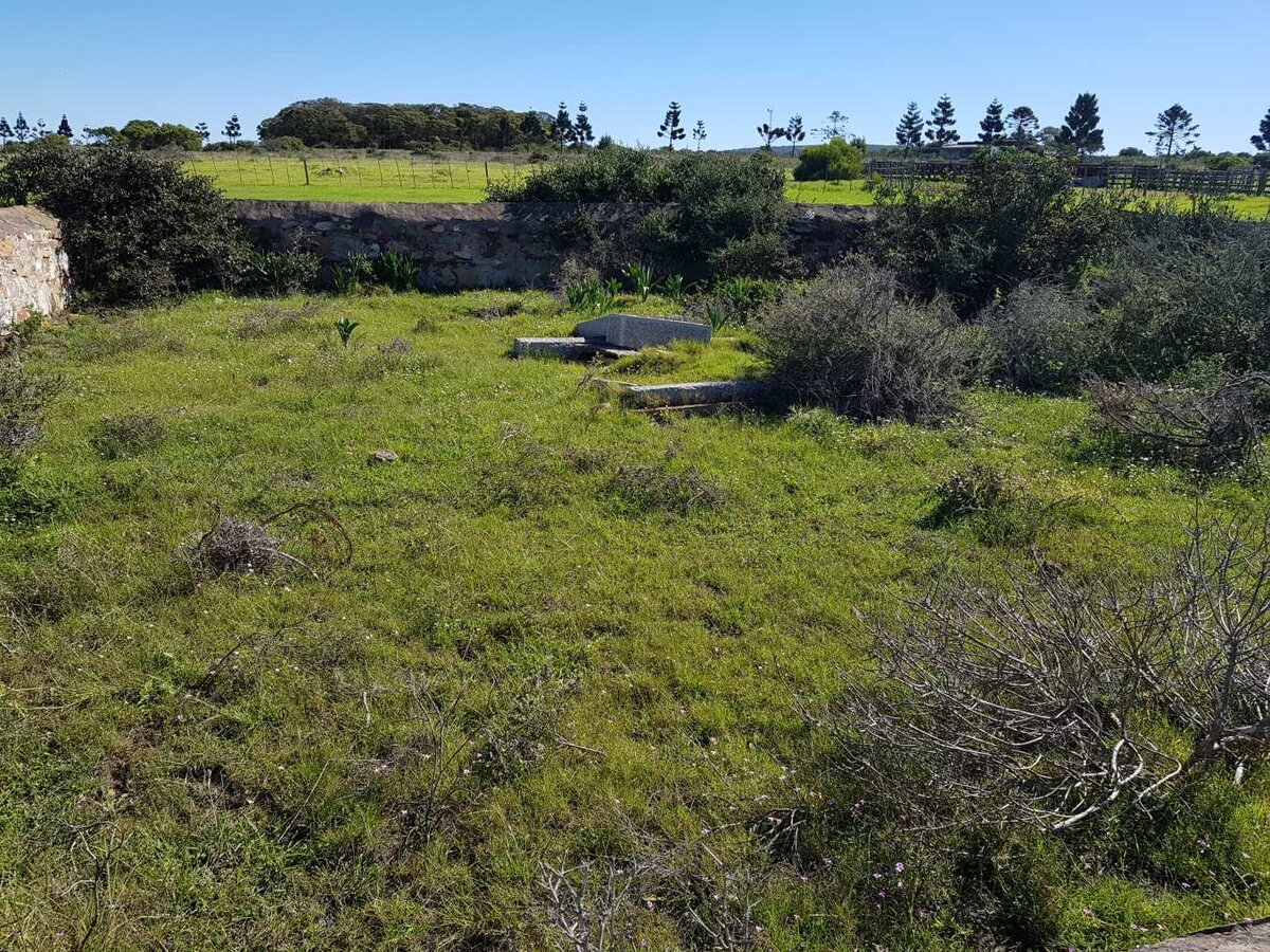 2. Overview / Oorsig