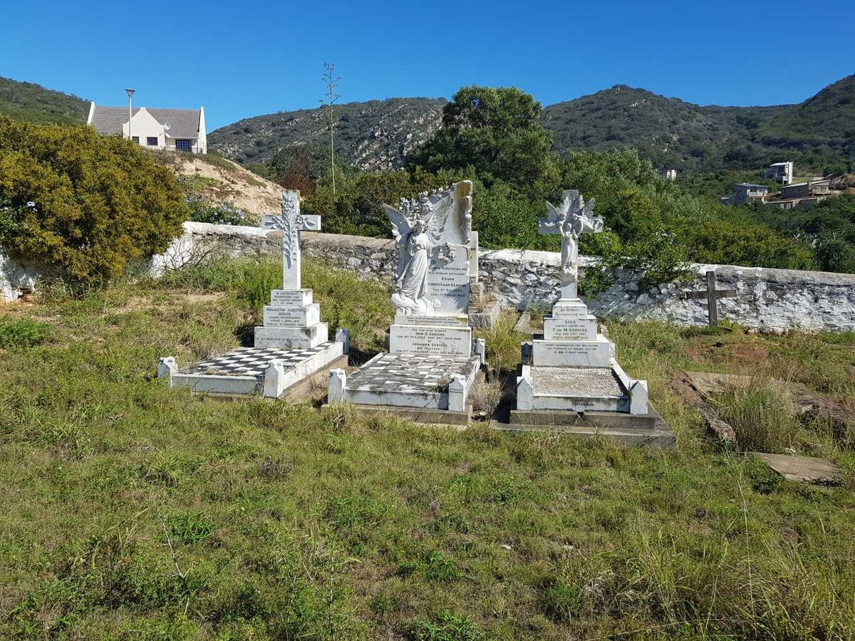 2. Overview / Oorsig