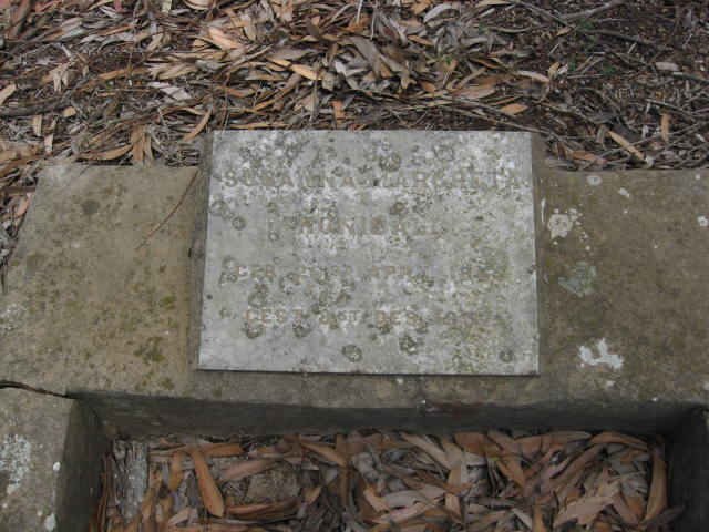 HONIBALL Susanna Margaretha 18??-19??