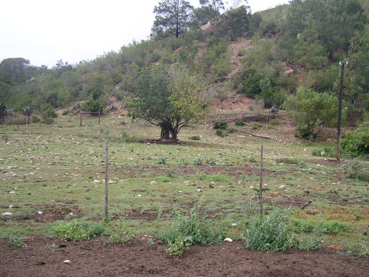 2. Overview on the cemetery