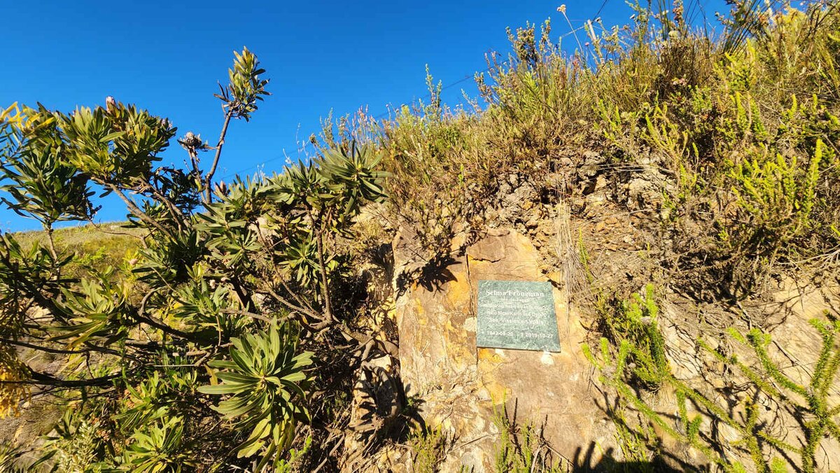 1. Overview / Oorsig