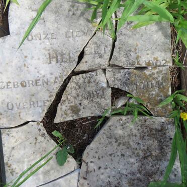 ? Heleen 1902-1904