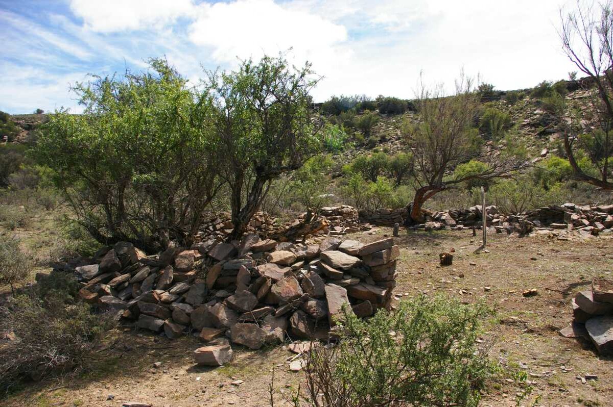 2. Overview / Oorsig