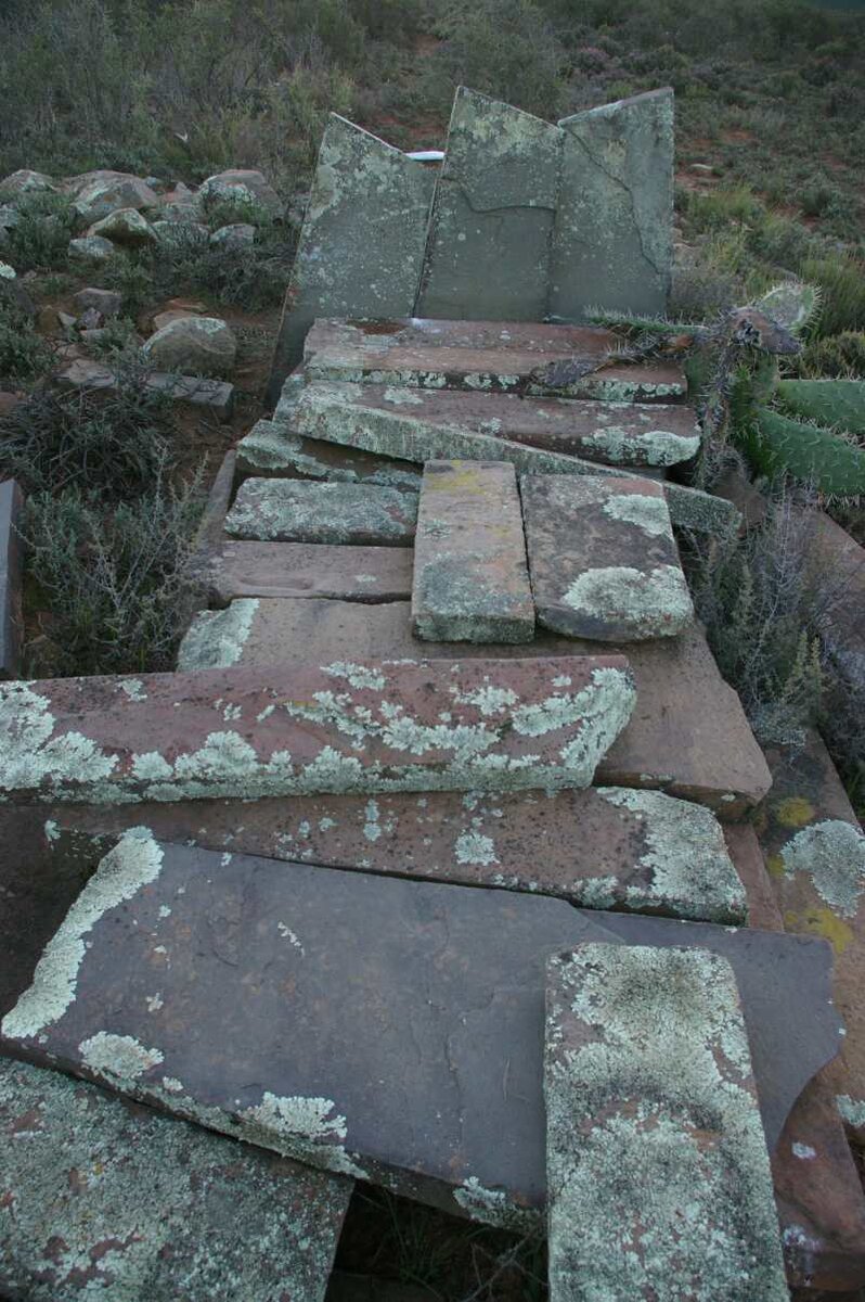 3. Overview / Oorsig