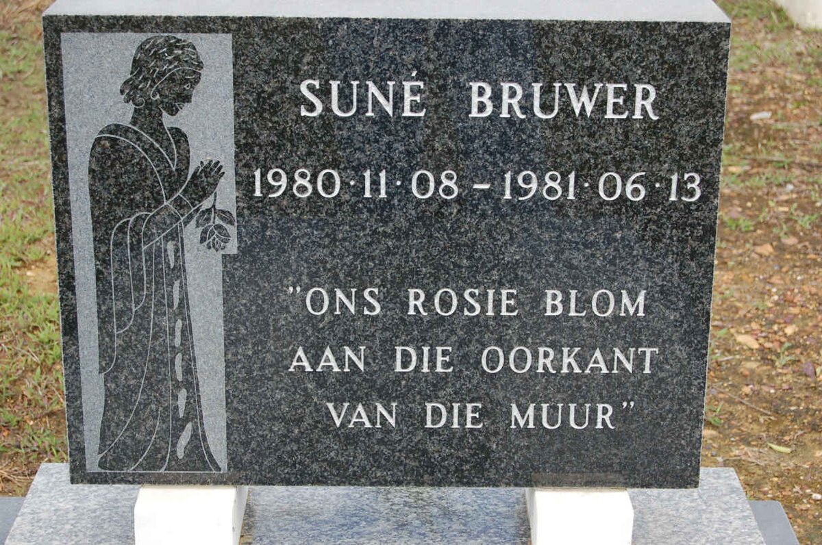 BRUWER Sune 1980-1981