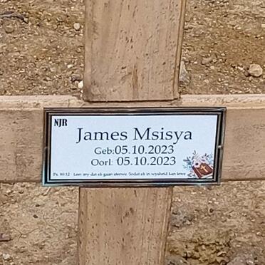 M - Surnames :: Vanne - M