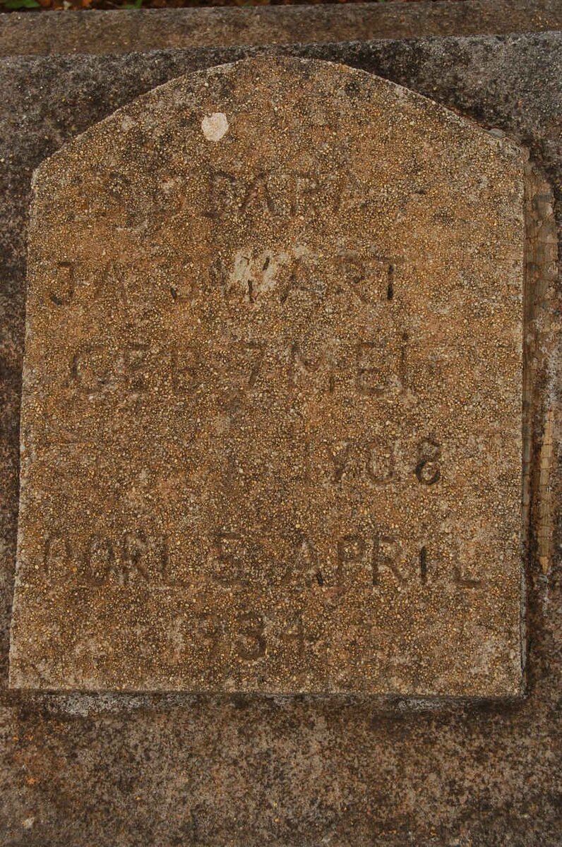 SWART J.A. 1908-1934