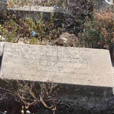 STUURMAN  Thys 1876-1937