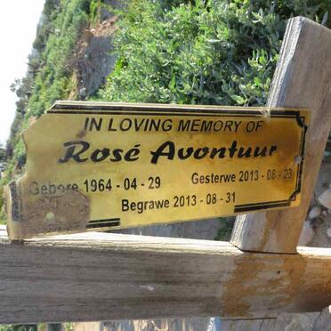 AVONTUUR Rose 1964-2013