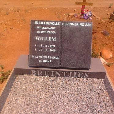 BRUINTJIES Willem 1971-2009
