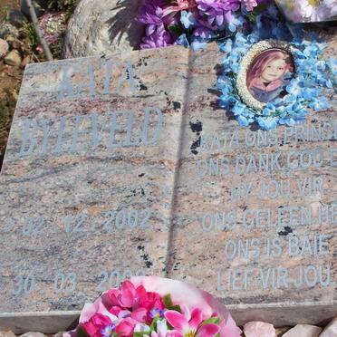 BYLEVELD Kata 2002-2008