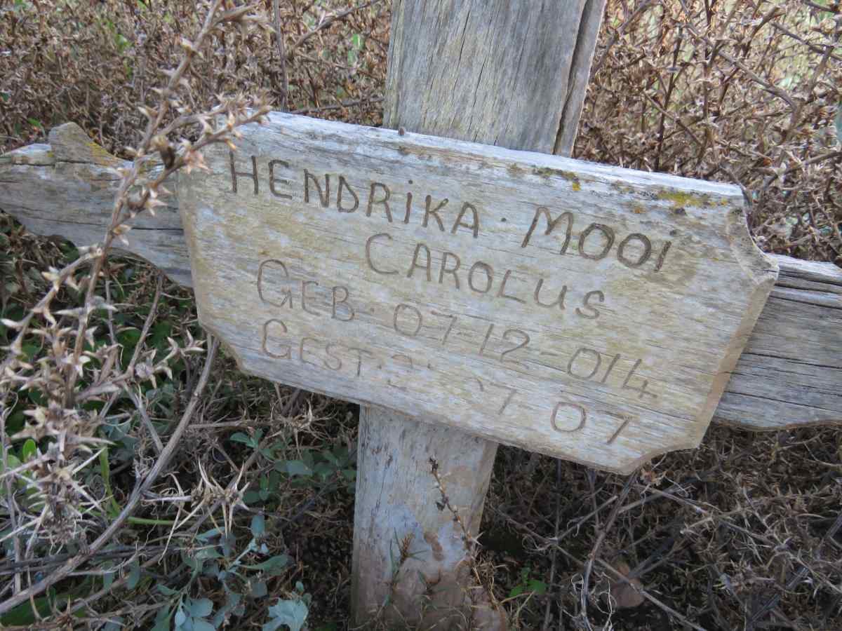 CAROLUS Hendrika Mooi ?14-2007