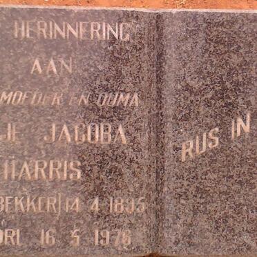 HARRIS Elsje Jacoba 1895-1970