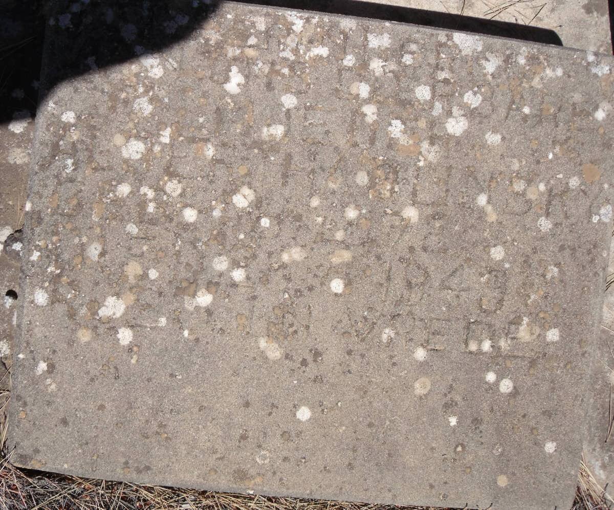 OLINSKY Albertha Magdalena Geertruida Wilhelmina nee LOMBAARD 1872-1949