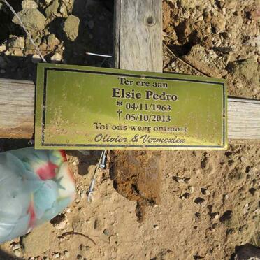 PEDRO Elsie 1963-2013