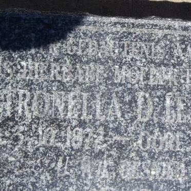 ROUX Petronella D., le 1872-1953