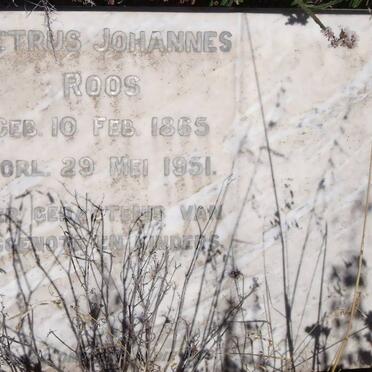 ROOS Petrus Johannes 1865-1951