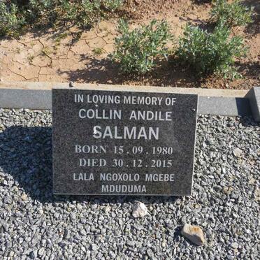 SALMAN Collin Andile 1980-2015