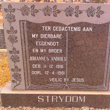STRYDOM Johannes Andries 1916-1981