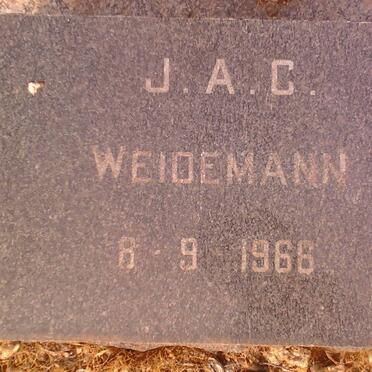 WEIDEMANN J.A.C. -1966