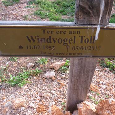 WINDVOGEL Toll 1952-2017