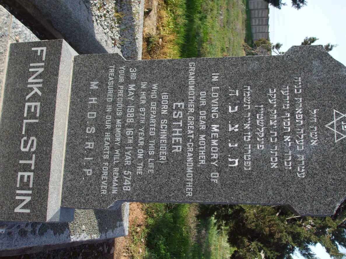 FINKELSTEIN Esther nee SCHNEIDER  -1988