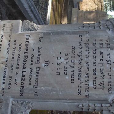 LAZARUS Tseippe Rosa  -1919