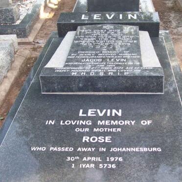 LEVIN Rose -1976 