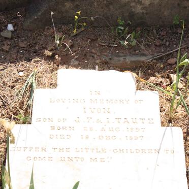 TAUTE Ivon 1897-1897