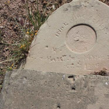 MUNRO Mary Ann -1904